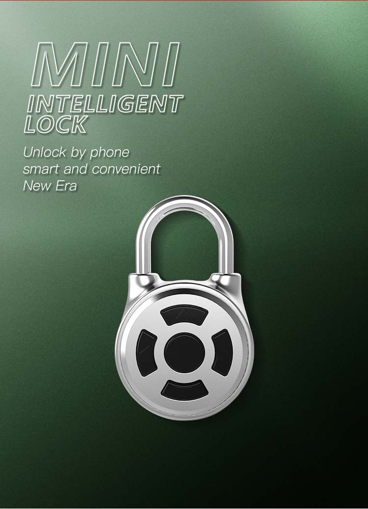 Mini Intelligent Lock M1L 02