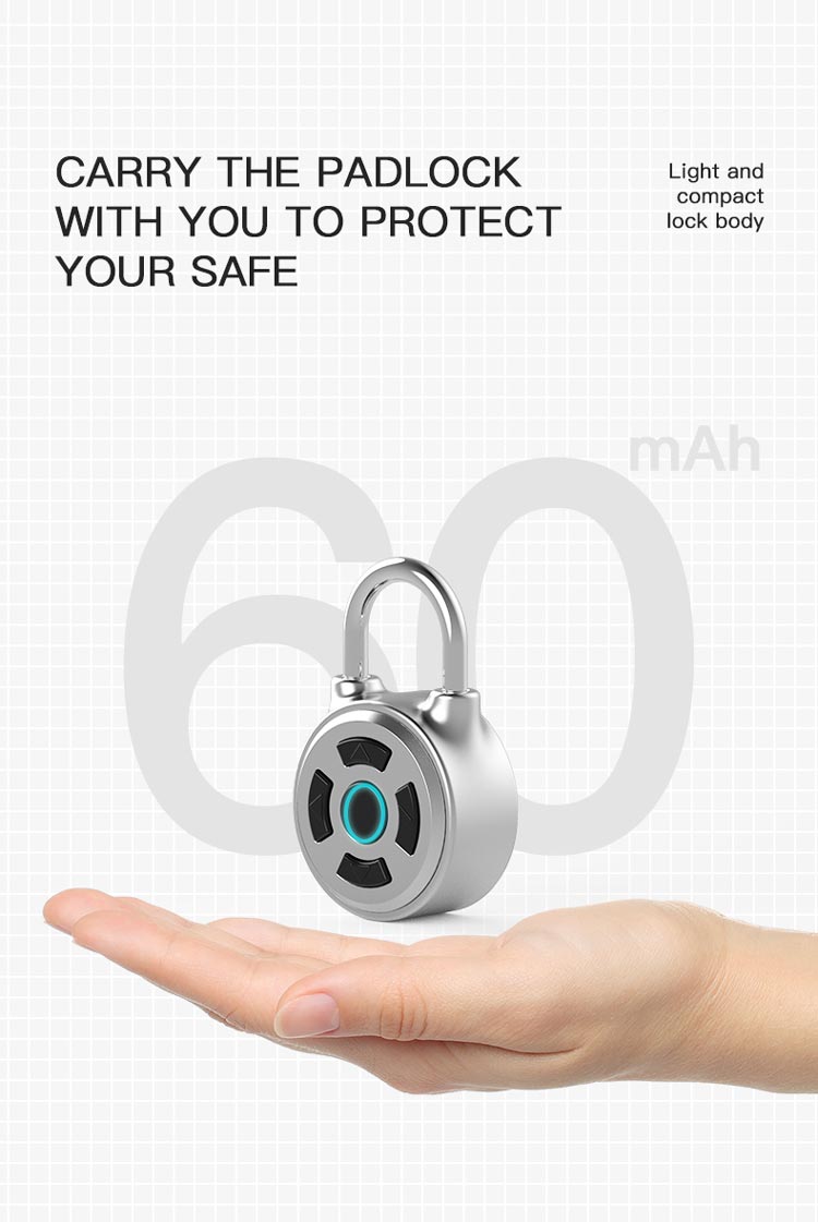 Mini Intelligent Lock M1L 10