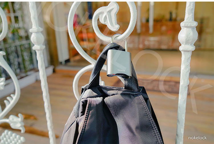 Smart Password Padlock M3 6